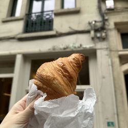 Boulengier
