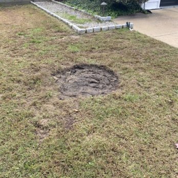 Sussex Tree - The hole they left in my yard. - Landscaping Near Me - Bridgeville, Delaware Sussex Tree - The hole they left in my yard. - Landscaping Near Me - Bridgeville, Delaware