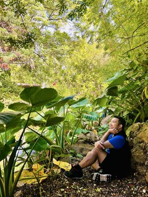 Kula Botanical Garden by null