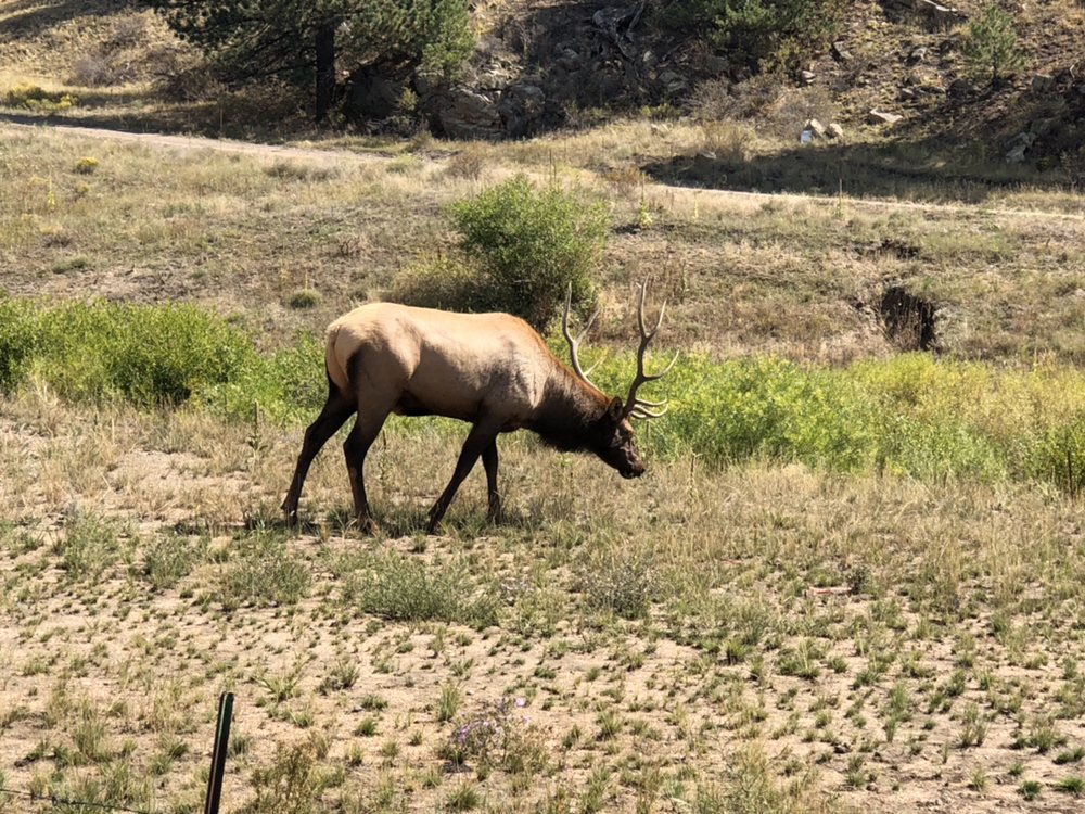 Slide of Ace Hi Plumbing & Heating & Air