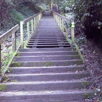 Old Mill Park - Dipsea trail head at Old Mill Park - Parks Near Me - Mill Valley, California