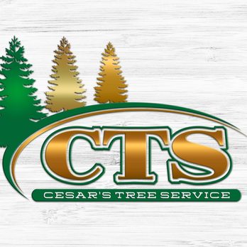 Cesar's Tree Service - Tree Services Near Me Cesar's Tree Service - Tree Services Near Me