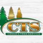 Photo of Cesar's Tree Service