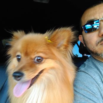 Dog's Day Out - My Sally Bear - Pet Groomers Near Me - El Paso, Texas Dog's Day Out - My Sally Bear - Pet Groomers Near Me - El Paso, Texas