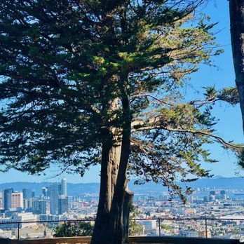 Corona Heights Park - Dog Parks Near Me - San Francisco, California