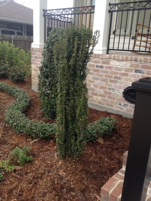 Sean's Landscaping by null