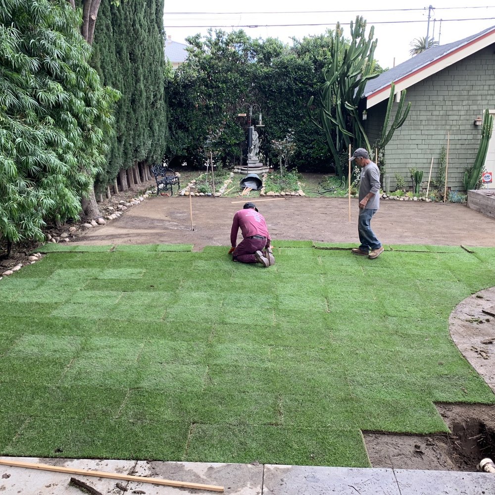 Pinewood Design - Installing grass - Landscaping Near Me - Long Beach, California Pinewood Design - Installing grass - Landscaping Near Me - Long Beach, California
