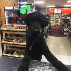 Westlake Liquor - Store mascot Ninja