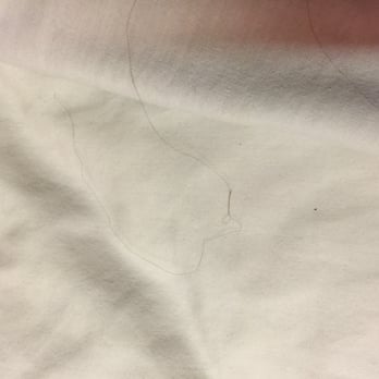 Motel 6 - Sheets from previous guest. - Hotels Near Me - Red Bluff, California