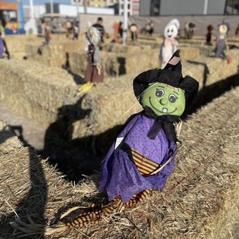 Halloween Town Pumpkin Patch - Pumpkin Patches Near Me - Las Vegas, Nevada Halloween Town Pumpkin Patch - Pumpkin Patches Near Me - Las Vegas, Nevada