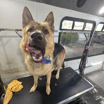 Woof Wash Waggin - Pet Groomers Near Me Woof Wash Waggin - Pet Groomers Near Me