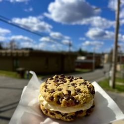 Wylde Berry Bakery