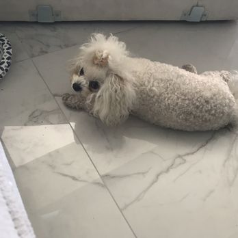 GM Elite Tile & Stone Installation - My Coconut loves for also! - Tiling Near Me GM Elite Tile & Stone Installation - My Coconut loves for also! - Tiling Near Me