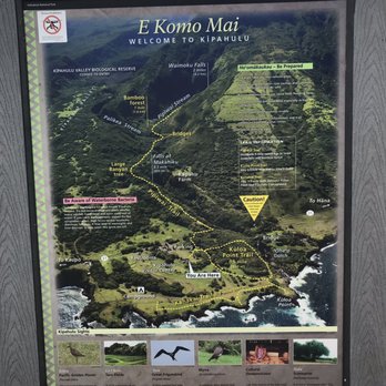Bamboo Forest - E Komo Mai - Active Life Near Me - Uninc Maui, Hawaii Bamboo Forest - E Komo Mai - Active Life Near Me - Uninc Maui, Hawaii