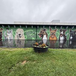 Humane Society of Monroe County - Our mural of former residents.
