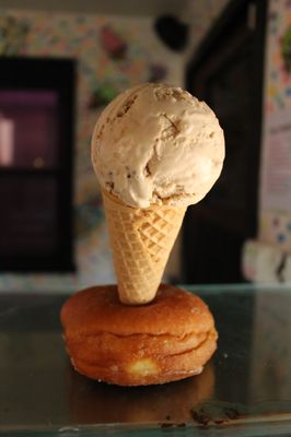 Novel Ice Cream by null
