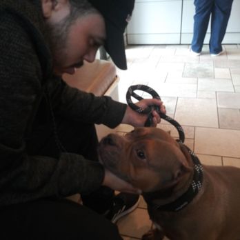 vca animal hospital bradshaw