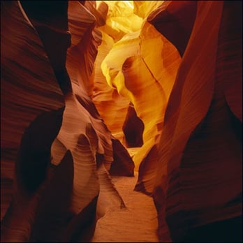LIK Fine Art - Amber Cavern - Art Galleries Near Me - Lahaina, Hawaii