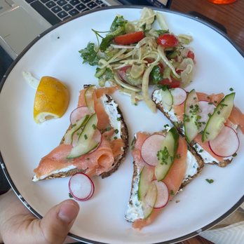 Shy Bird - Salad Near Me - Boston, Massachusetts Shy Bird - Salad Near Me - Boston, Massachusetts