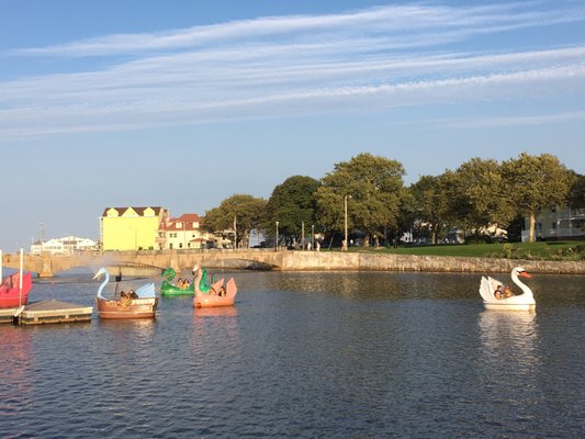 Asbury Park Pedal Boats by null