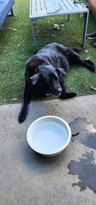 Southernside Brewing Co. by null