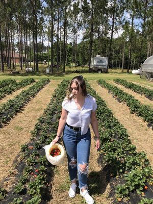 Berry Good Farms by null