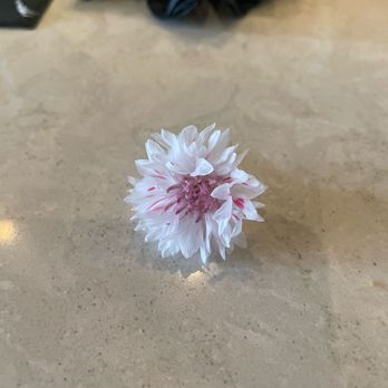 Sparrow Bar & Restaurant - Cornflower garnish - Bars Near Me - New Milford, Connecticut