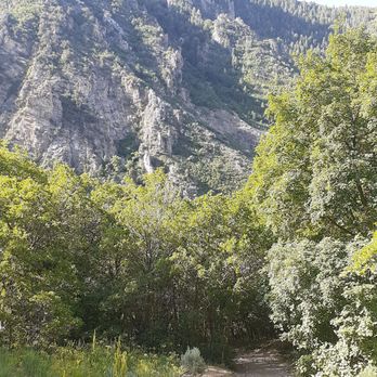 Millcreek Canyon - Start of the Pipeline Trail. - Hiking Near Me - Millcreek, Utah