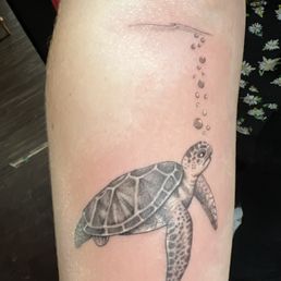 My little turtle tat!