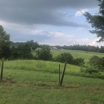 Bald Top Brewing - Brewery - Wine Bars Near Me - Madison, Virginia