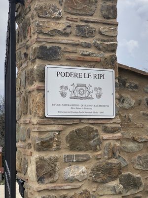 Podere Le Ripi by null