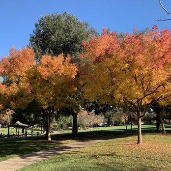 Mission Hills Park - The park comes alive every fall! - Parks Near Me - Pleasanton, California Mission Hills Park - The park comes alive every fall! - Parks Near Me - Pleasanton, California
