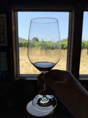 Unti Vineyards by null