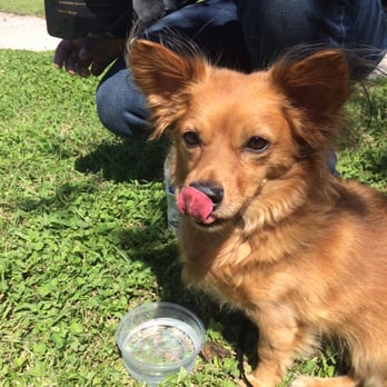Denton Community Market - he loved the dog treats we got him - Farmers Market Near Me - Denton, Texas Denton Community Market - he loved the dog treats we got him - Farmers Market Near Me - Denton, Texas