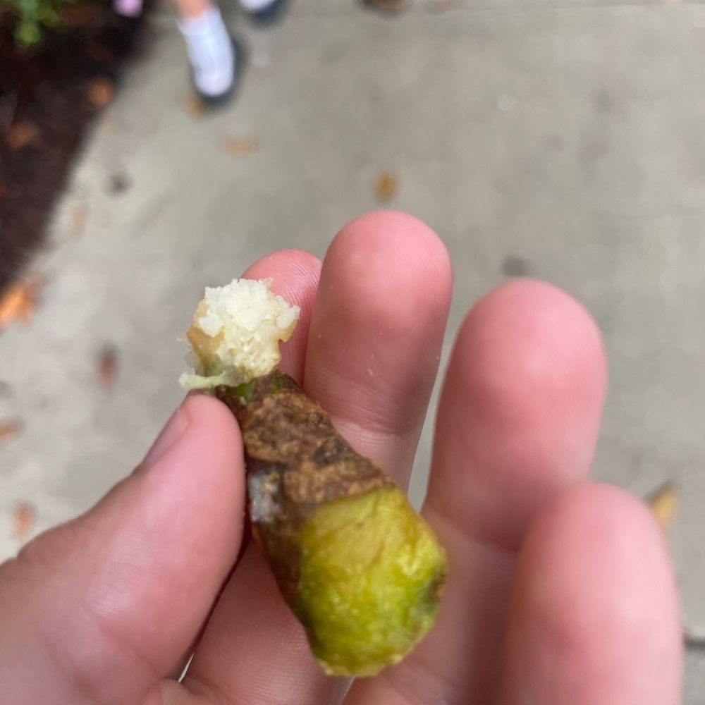 Bad food