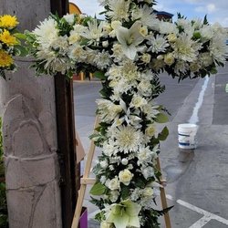A Panorama Flowers