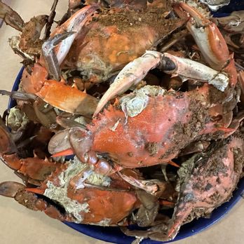 Mike's Bar & Crab House - Dozen Large Crabs - Seafood Near Me - Riva, Maryland