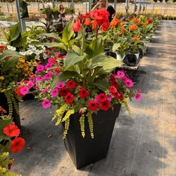 Westside Garden Center - Unique huge planters