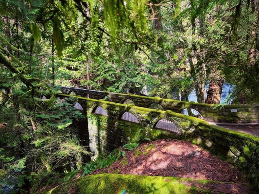 Whatcom Falls by null