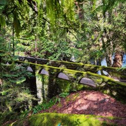Whatcom Falls Park - Views from the trail