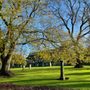 Photo of Greyfriars Kirkyard Cemetery Edinburgh