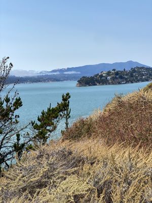 Angel Island by null
