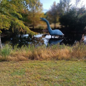 Jerrassic Park - Parks Near Me - Virginia Beach, Virginia