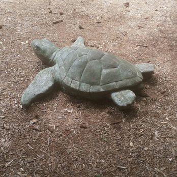 Chesapeake City Park - This may be the only turtle you can ride. - Playgrounds Near Me - Chesapeake, Virginia Chesapeake City Park - This may be the only turtle you can ride. - Playgrounds Near Me - Chesapeake, Virginia