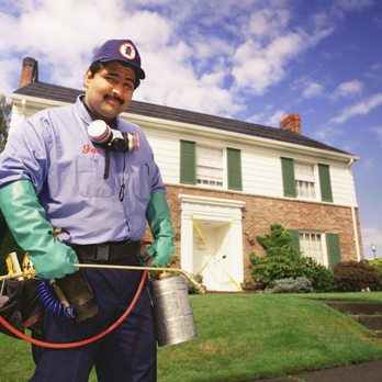 D & D Pest Control - Pest Control Near Me - Merced, California D & D Pest Control - Pest Control Near Me - Merced, California