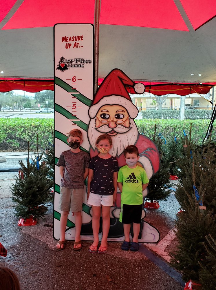 HARTTTREE FARMS 45 Photos & 14 Reviews 15537 Old Nc Hwy 16