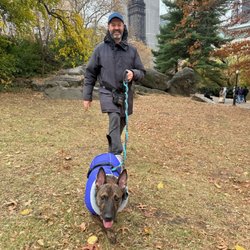 Simply Pawtastic Pet Care Nyc