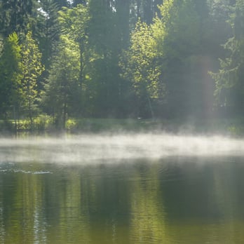 Waldbadcamping - Morgenstimmung - Campgrounds Near Me - Isny, BW