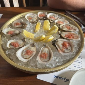 Au Courant - oysters - Modern European Near Me - Omaha, Nebraska