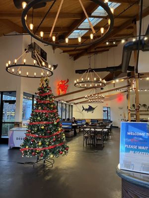 Cajun Crackn Concord by null